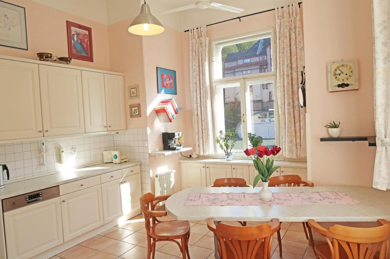 Apartment Themis Карлові Вари Екстер'єр фото